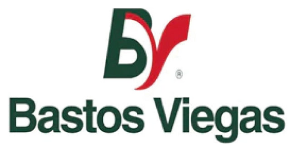 Bastos Viegas logo